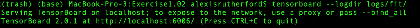 Figure 1.10: The TensorBoard server
