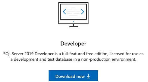 Figure 1.6 – Downloading the Developer edition
