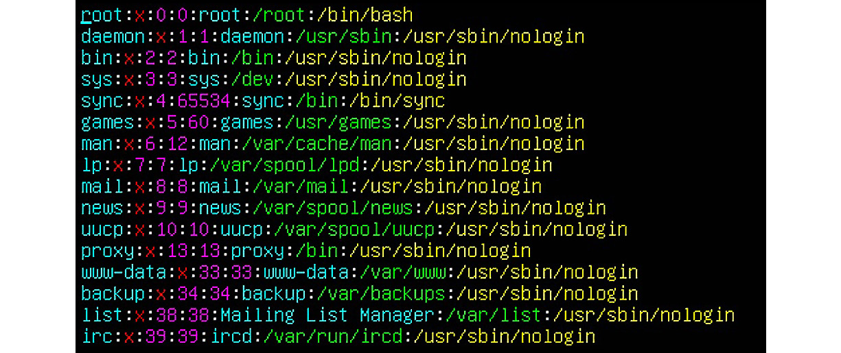 Figure 2.1 – The top section of the /root/passwd file
