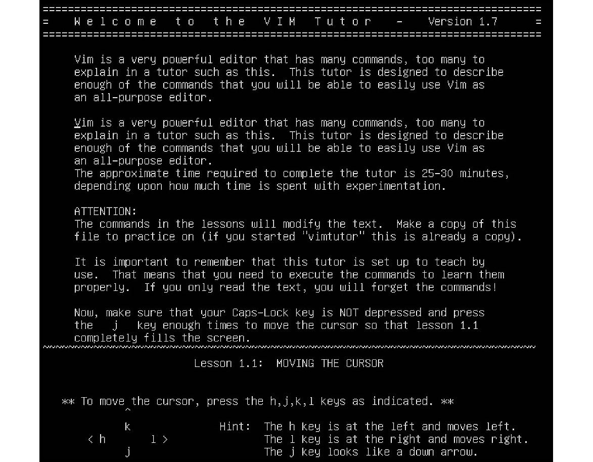 Figure 2.8 – Yanking and pasting a text paragraph
