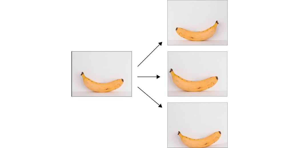 Figure 2.13: An example of image augmentation
