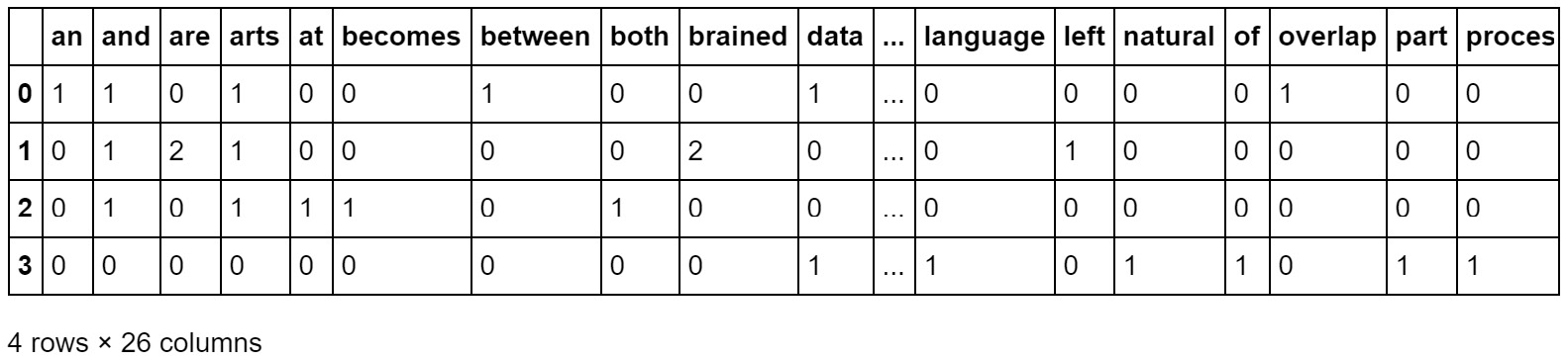 Figure 2.19: DataFrame of the output of the BoW model
