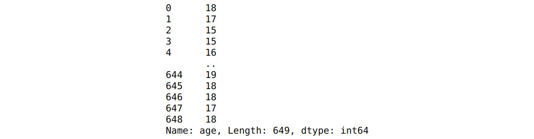 Figure 1.19 – The age variable
