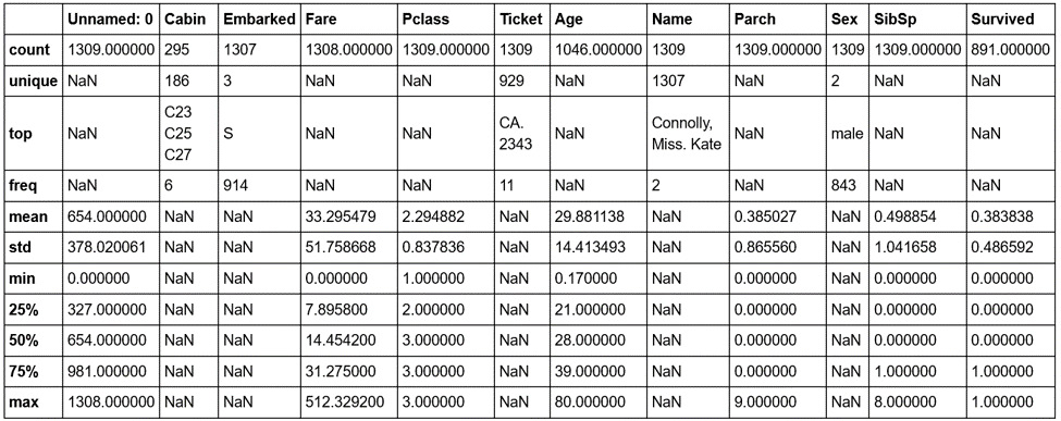 Figure 1.15: The describe method with text-based columns
