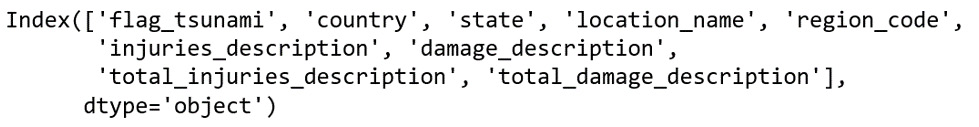Figure 2.19: All columns that are object types
