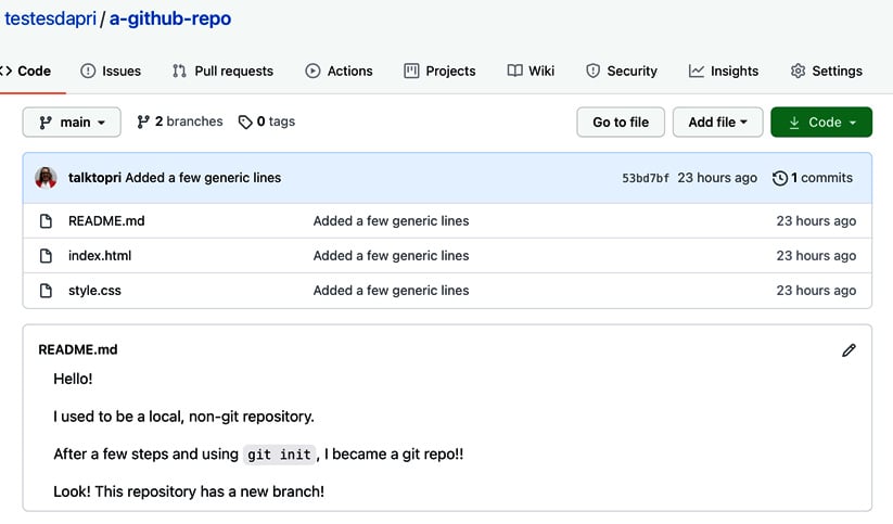 Figure 1.13 – README file before being edited
