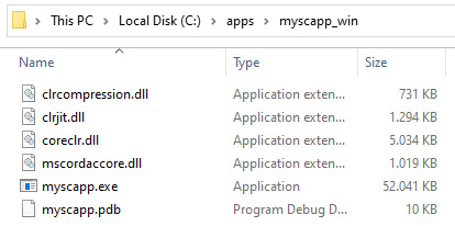 Figure 1.3 – .NET 5 generating a self-contained app in a single .exe file
