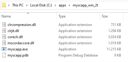 Figure 1.4 – .NET 5 generating a self-contained trimmed app in a single .exe file
