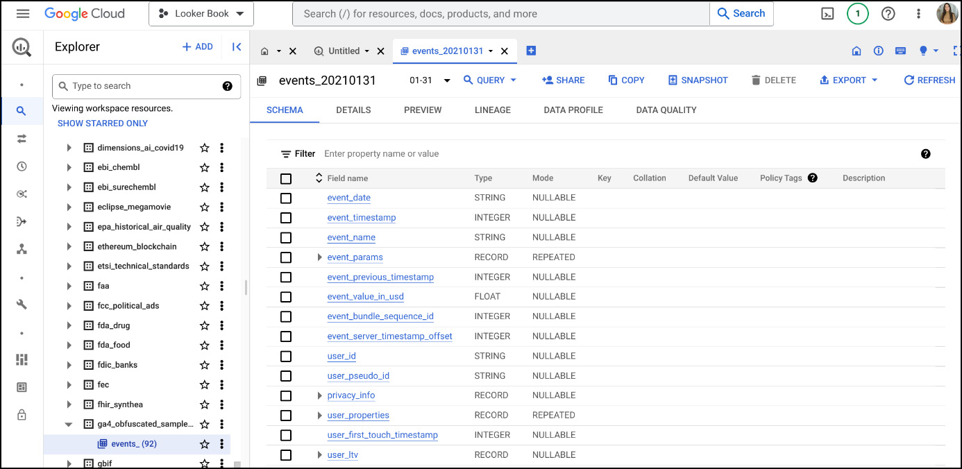 Figure 1.15 – Google Analytics dataset