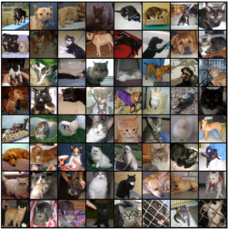 Figure 2.10 – Sample images of cats and dogs
