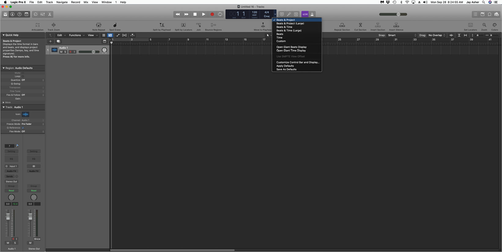 Figure 2.4 – Control bar display options
