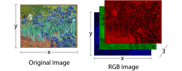 Figure 1.3: A color image and its representation as red, green, and blue images
