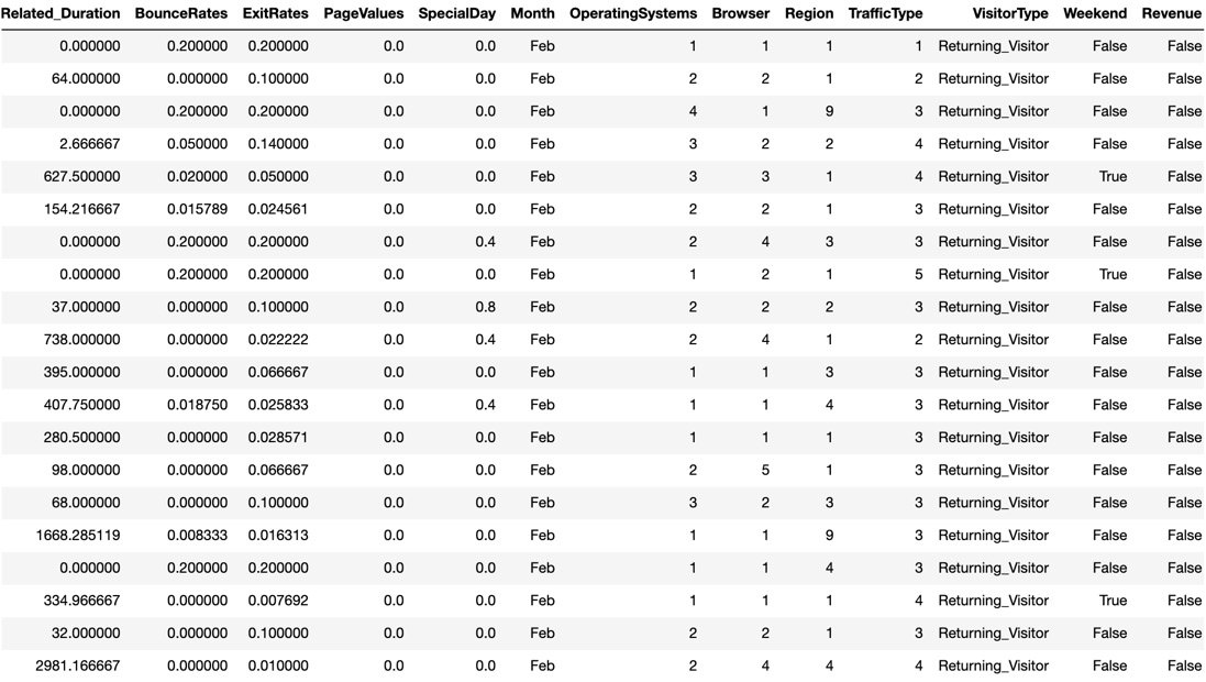 Figure 1.4: An image showing the first 20 instances of the online shoppers purchasing intention dataset
