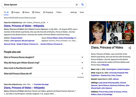 Figure 1.3 – Search results for the query "Diana Spencer"
