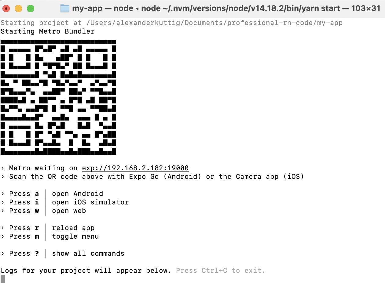 Figure 1.2 – Expo CLI Interface
