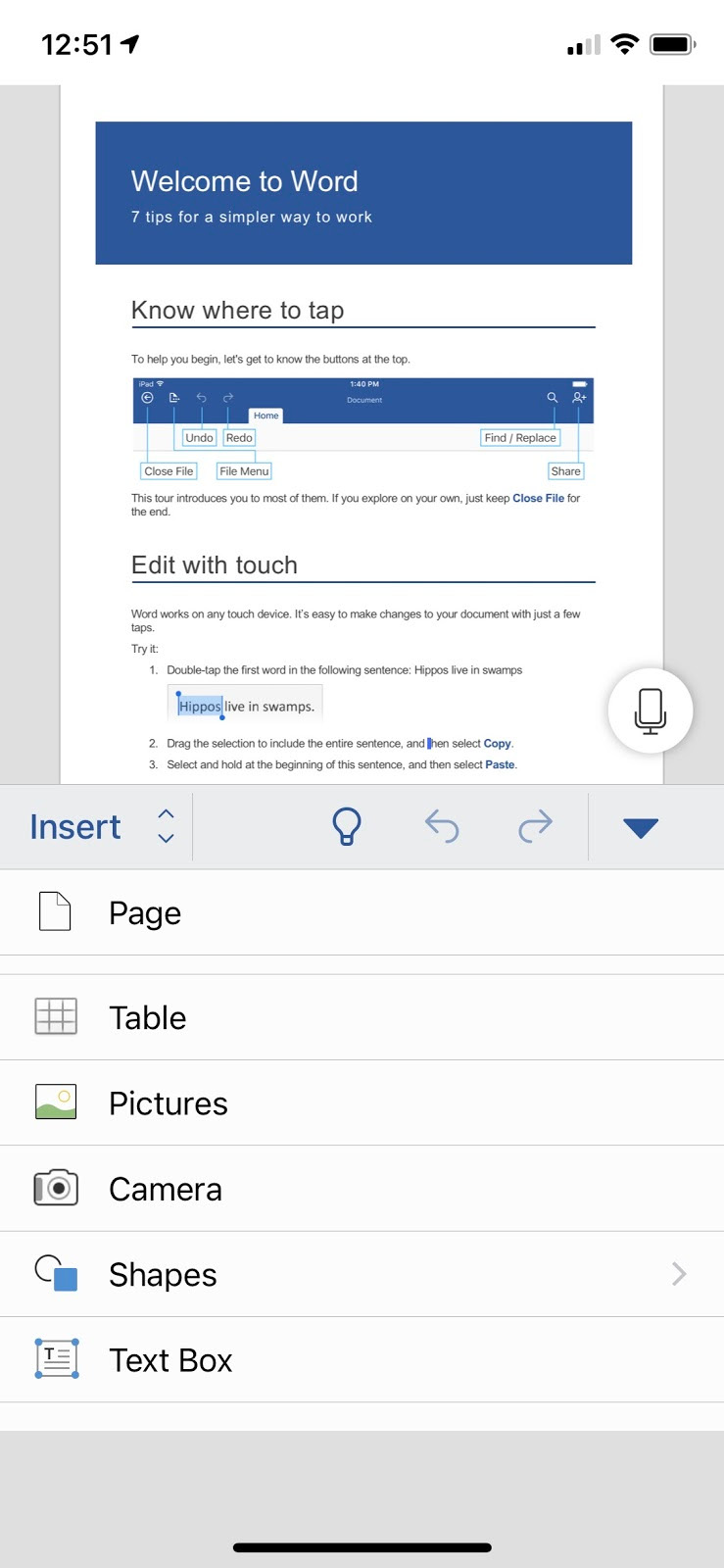 Figure 1.3 – Word Mobile on an iPhone
