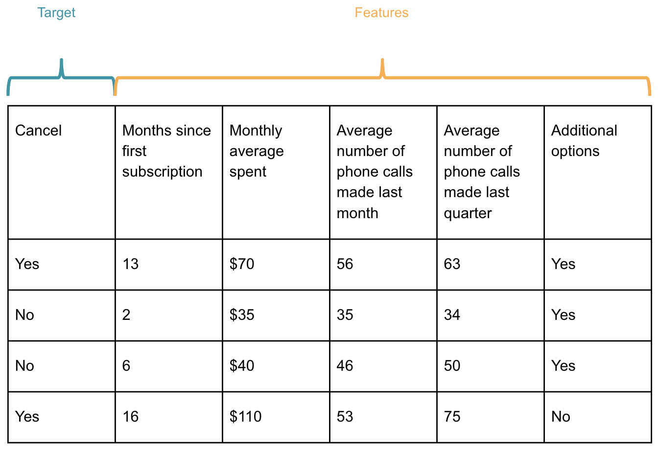 Figure 1.1: Example of customer churn dataset