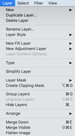 Layer menu | Mastering Adobe Photoshop Elements 2021 - Third Edition