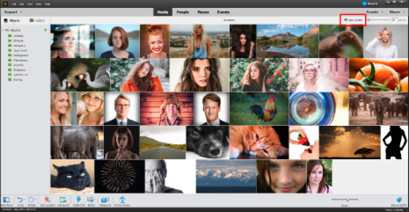 does the photoshop elements box work for both mac and pc