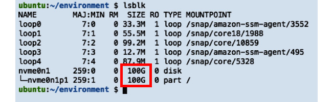 Figure 2.28 – Partition now reflecting the size of the root instance
