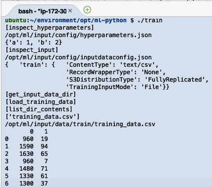 Figure 2.48 – Result of running the train script
