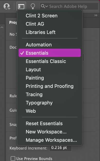 Workspaces and Preferences | Adobe Illustrator for Creative Professionals