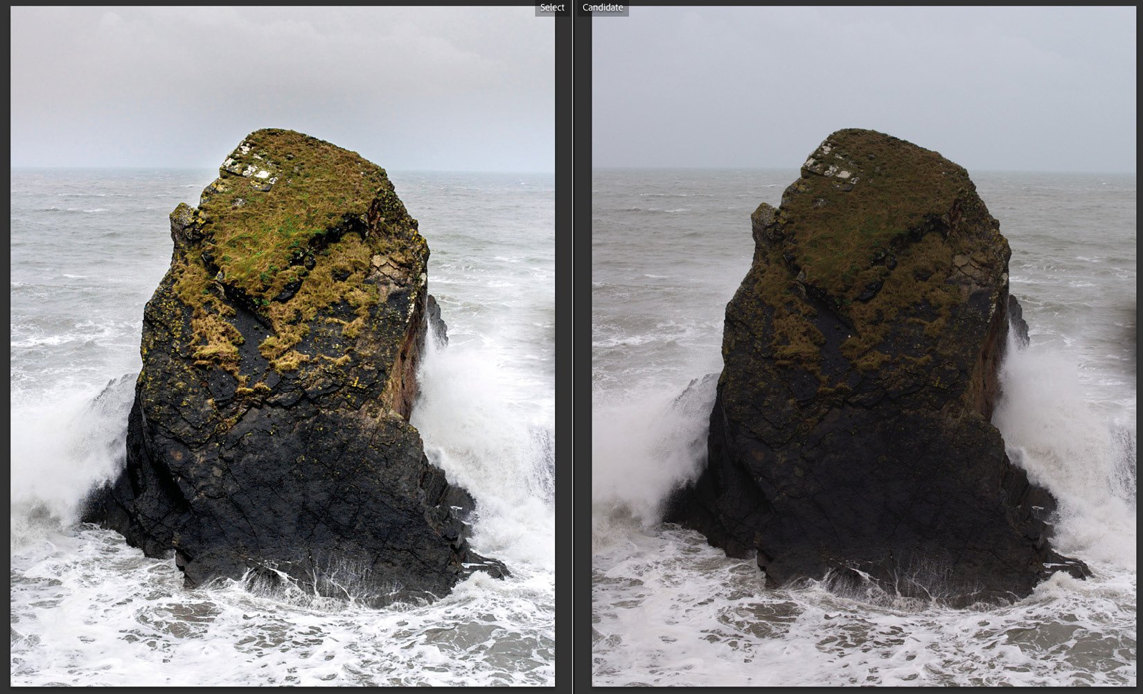 Figure 1.15 – Compare view with the developed photograph on the left 
and the original photo on the right
