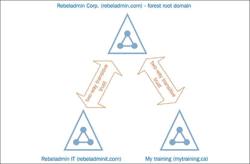 What is an Active Directory Forest?