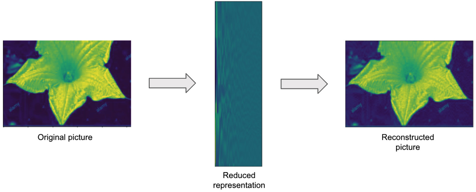 Figure 1.3 – Reconstruction of an image from reduced features
