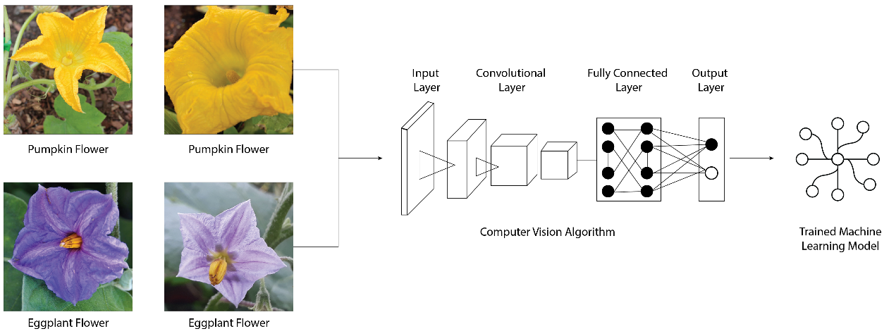 Figure 1.1 – Supervised ML