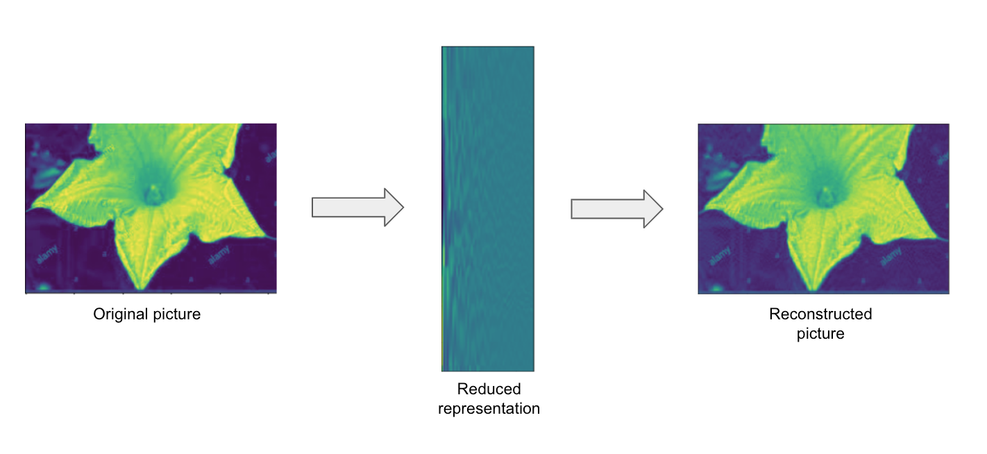 Figure 1.3 – Reconstruction of an image from reduced features
