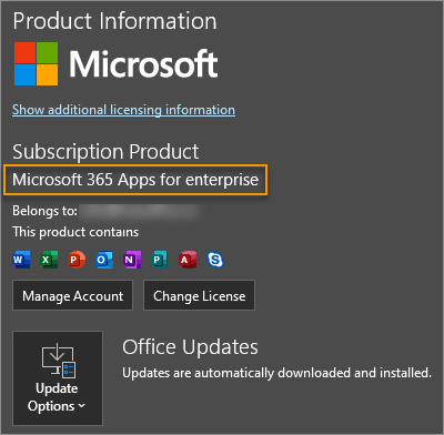 Figure 1.15 – Office version in File | Accounts 
