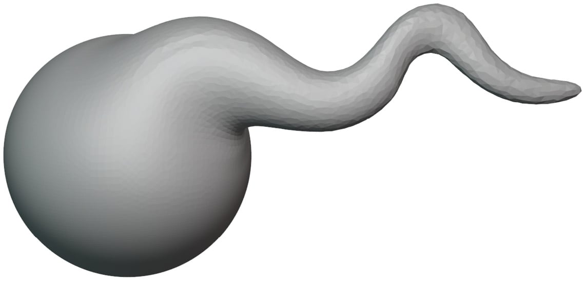 Figure 2.10 – The curvy segment we created with the Snake Hook brush and Dyntopo
