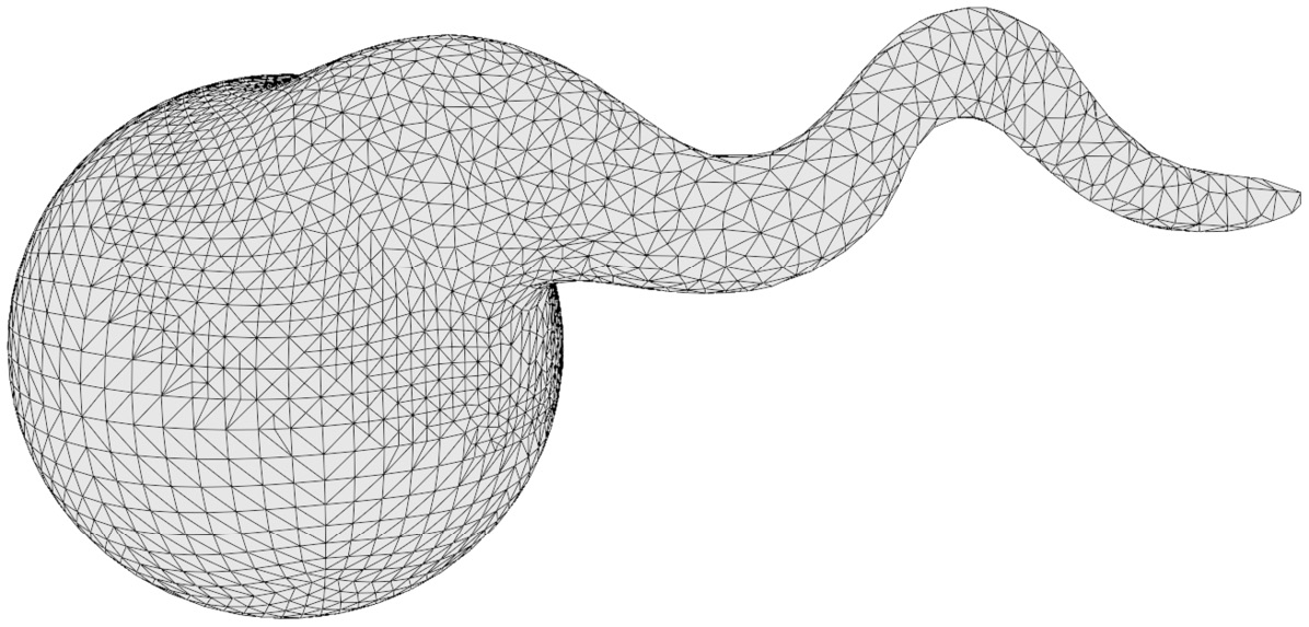 Figure 2.11 – The wireframe after making a curvy segment with the Snake Hook brush and Dyntopo (this diagram has been simplified for better visibility in this book)
