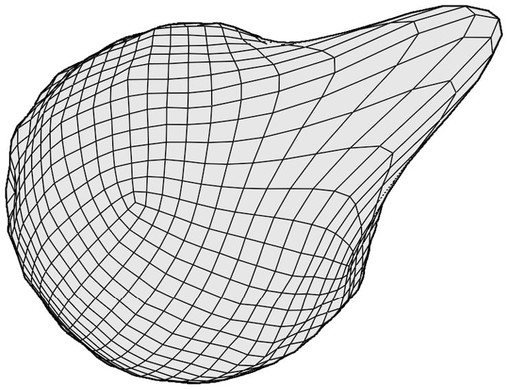 Figure 2.7 – The wireframe after using the Snake Hook brush (this diagram has been simplified for better visibility in this book)
