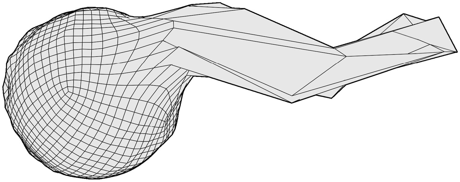 Figure 2.8 – The wireframe after making a curvy segment with the Snake Hook brush (this diagram has been simplified for better visibility in this book)
