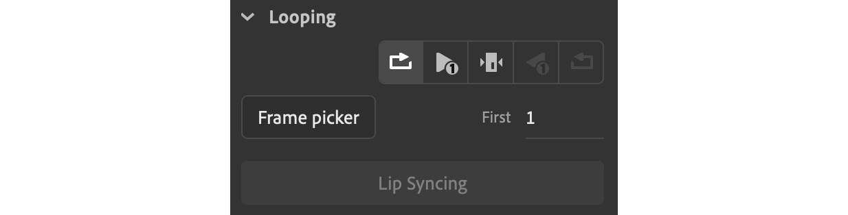 Figure 1.13 – Graphic Symbol Looping Options
