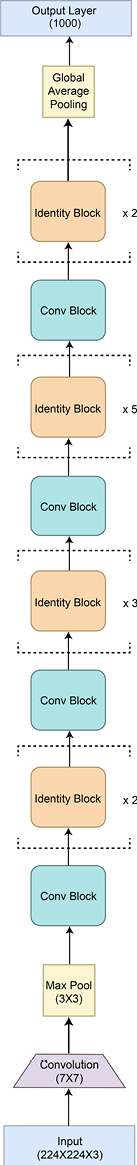 Figure 3.29 – ResNeXt architecture