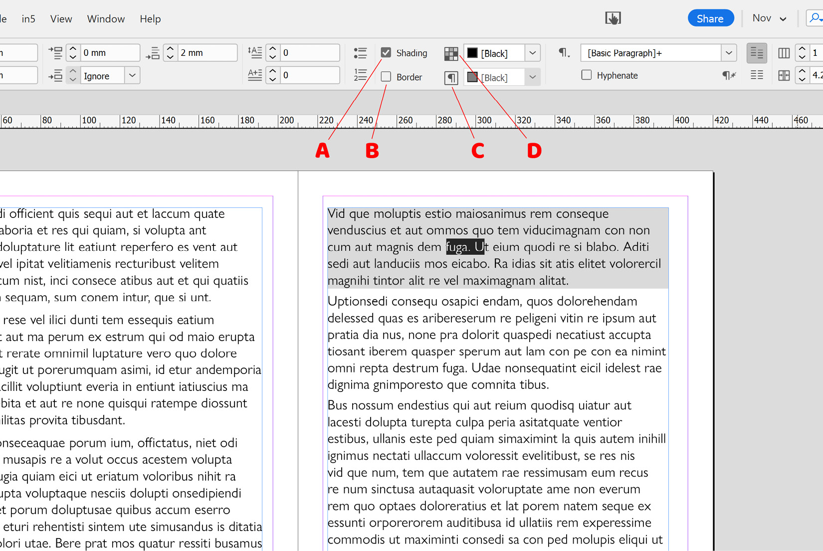 Figure 2.27: Paragraph shading and border options on the Control panel