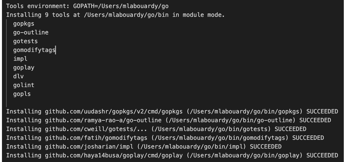 Figure 1.14 – Go tools installation
