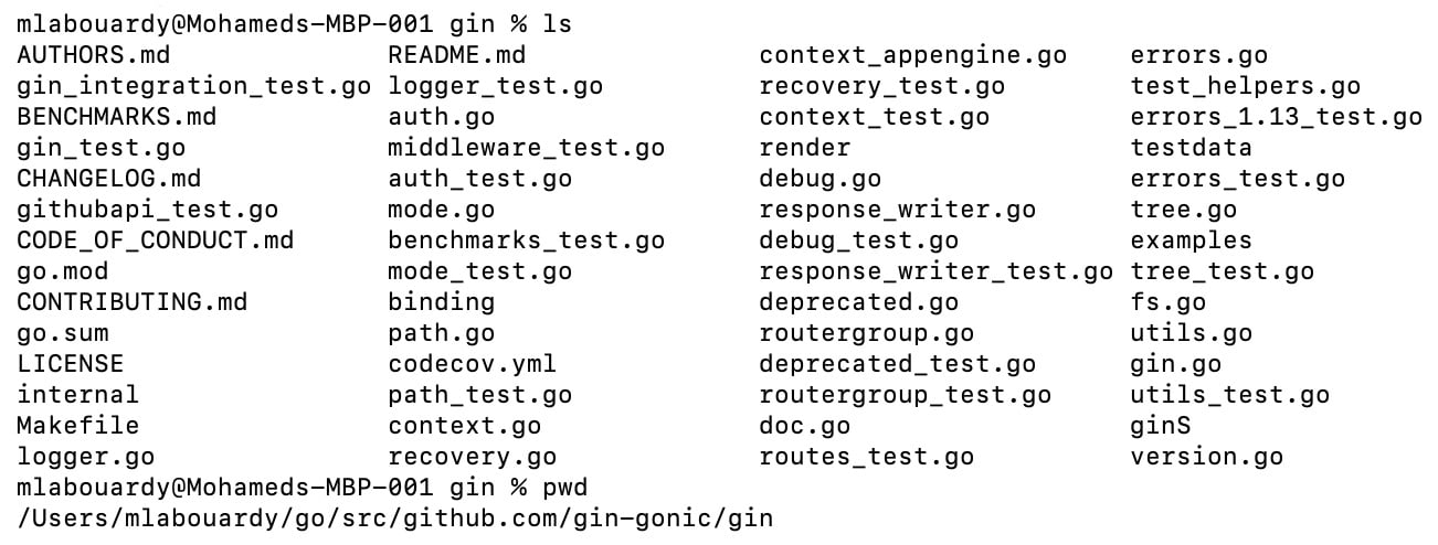 Figure 1.15 – Gin package source code
