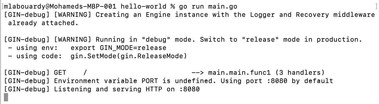 Figure 1.17 – Gin server logs
