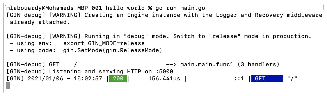 Figure 1.21 – Running the Gin server on port 5000
