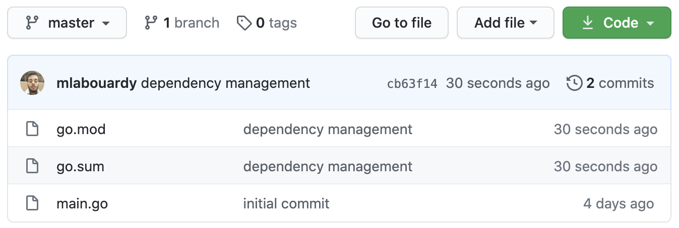 Figure 1.24 – Managing dependencies with Go modules
