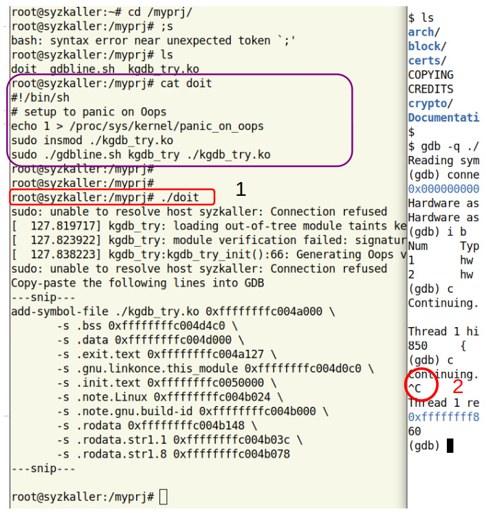 Figure 11.12 – (Truncated) screenshot: 1. run the doit script on the target (left window); 2. quickly switch to the right host window and interrupt (stop) the target with ^C
