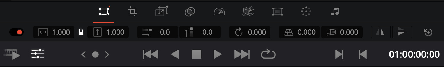 Figure 1.19: The Transform button and controls