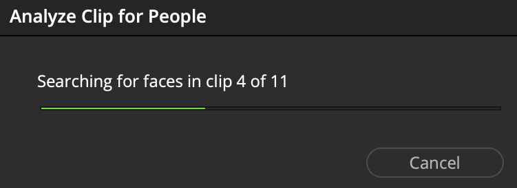 Figure 12.11: The Searching for faces progress bar