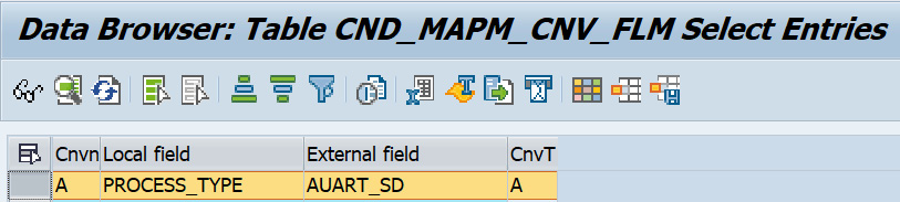 Figure 2.26 – The CND_MAPM_CNV_FLM table maintained with Process_Type
