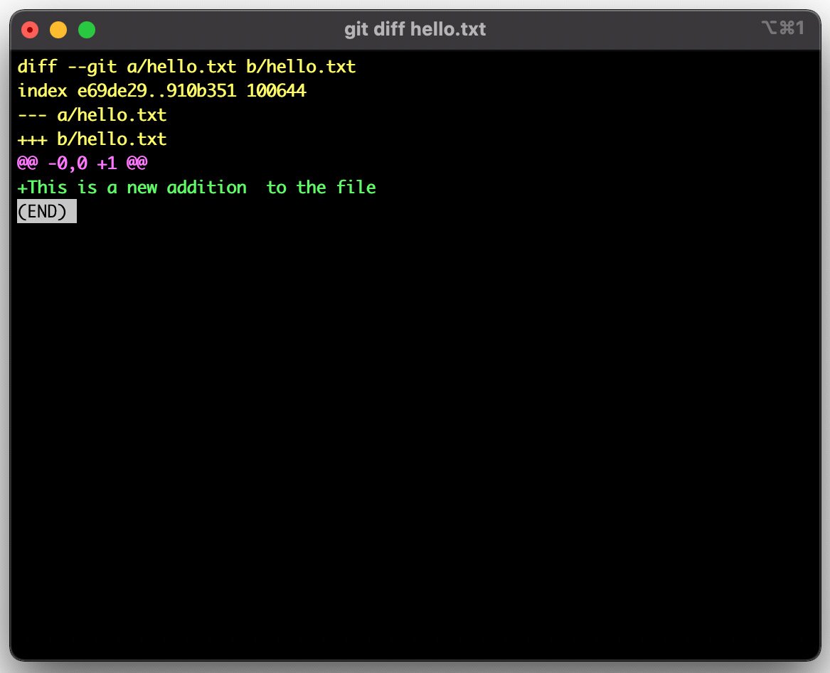 Figure 1.2 – Output from the git diff command
