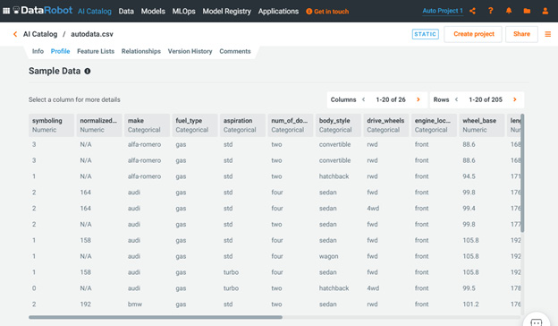 Figure 1.20 – Dataset information page
